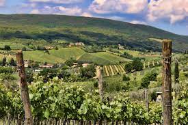 Tuscany Moving Slopes and Grape plantations